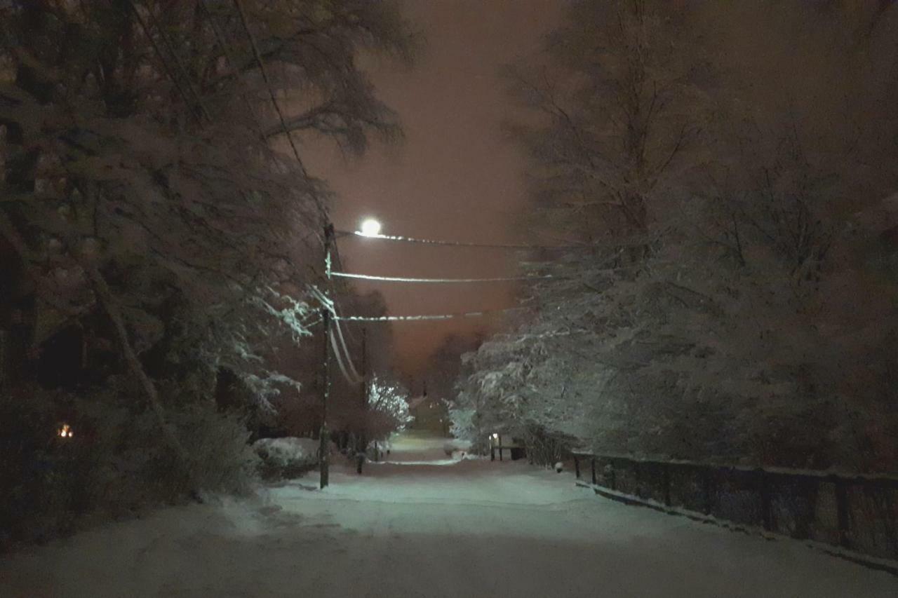 Toivo * Rovaniemi